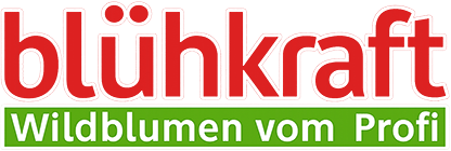 Blühkraft Wildblumenwiese vom Profi