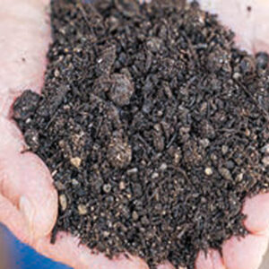 Rasensubstrat lose 1000L (m³)