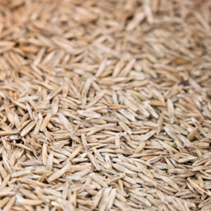 Rollrasen Shop - Saatgut zum Nachsäen